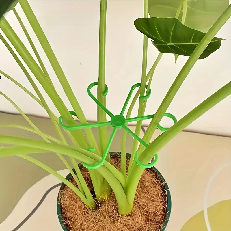 Set Penyangga Batang Tanaman 8 - Variegated Monstera Node ulasan dan harga
