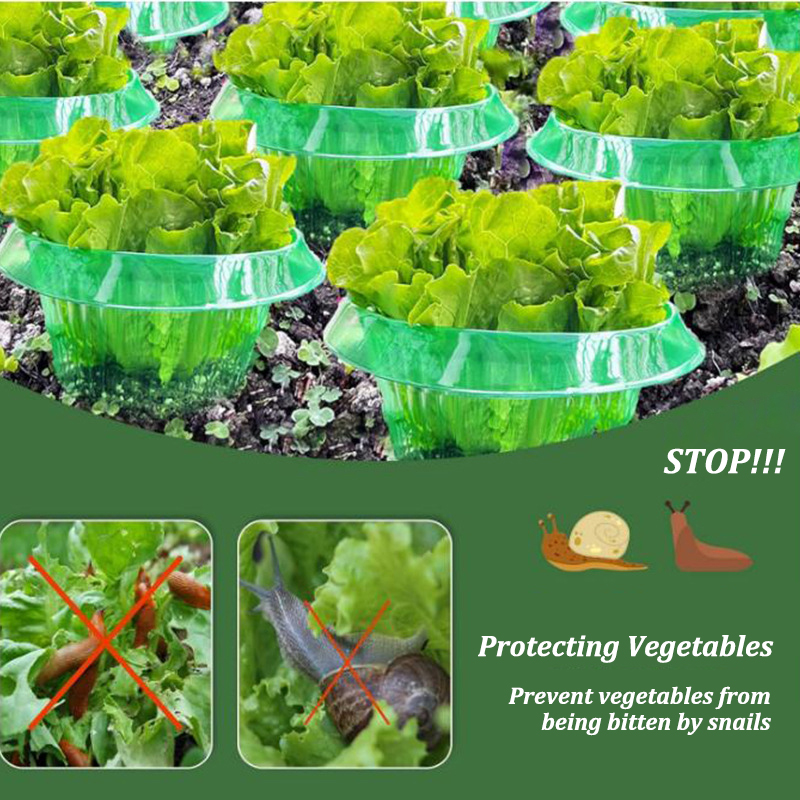 5-25 Buah Cincin Pelindung Sip - Plant Parents ulasan dan harga