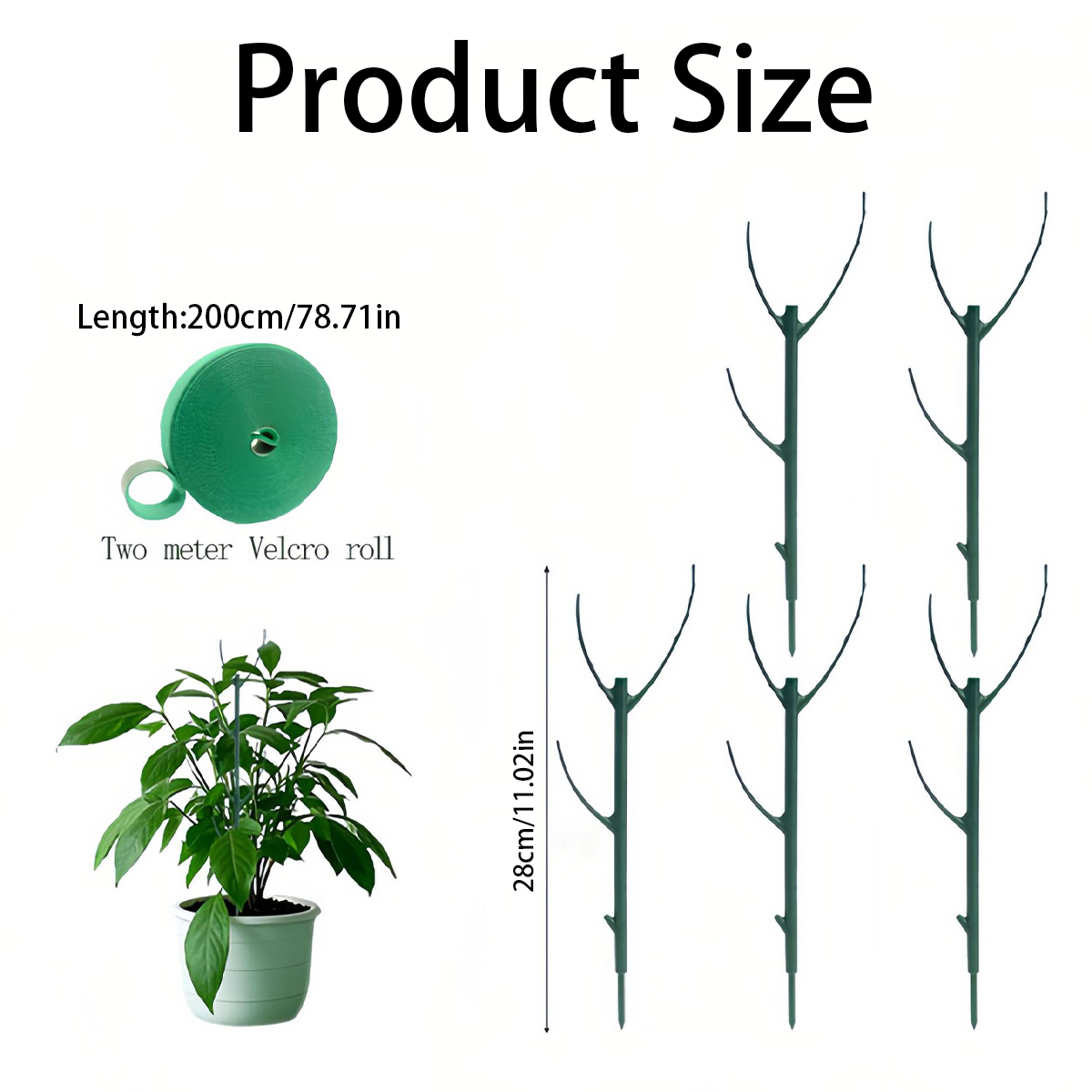 6 Buah Penyangga Tanaman Monst - Variegated Monstera Node ulasan dan harga