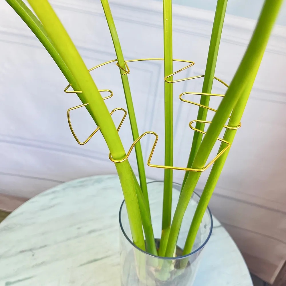 1 Buah Klip Tanaman Besar untu - Variegated Monstera Node ulasan dan harga