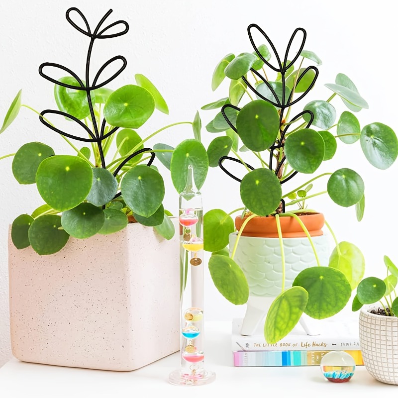 3 Buah Rak Pendukung Tanaman C - Plant Parents ulasan dan harga