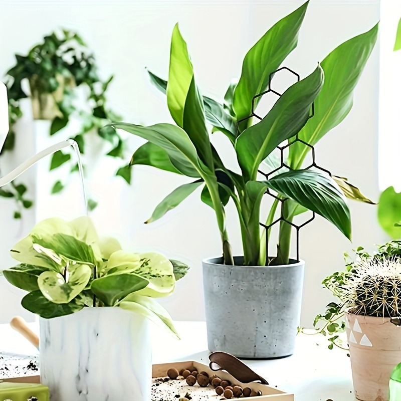 3 Buah Rak Pendukung Tanaman C - Plant Parents ulasan dan harga