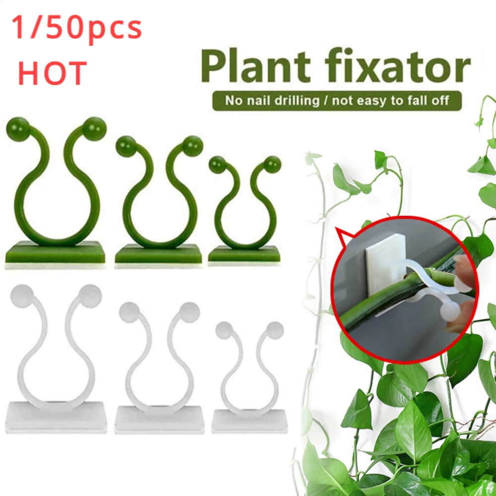 1/30/50 buah untuk pot taman & - Plant Parents ulasan dan harga
