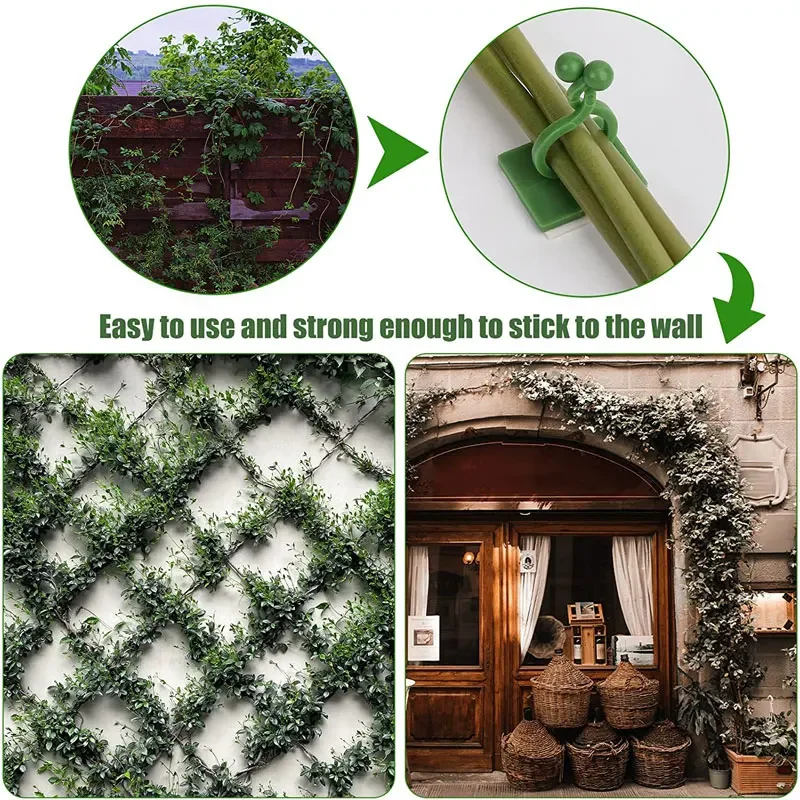 1/30/50 buah untuk pot taman & - Plant Parents ulasan dan harga